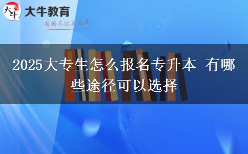 2025大專生怎么報(bào)名專升本 有哪些途徑可以選擇