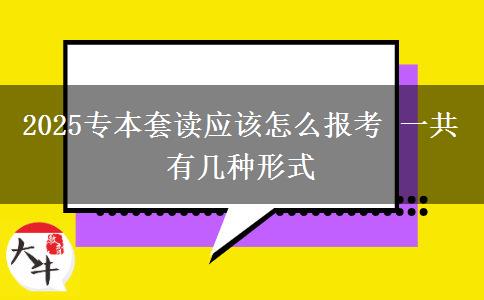 2025專本套讀應(yīng)該怎么報(bào)考 一共有幾種形式