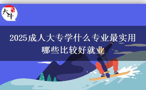 2025成人大專學什么專業(yè)最實用 哪些比較好就業(yè)