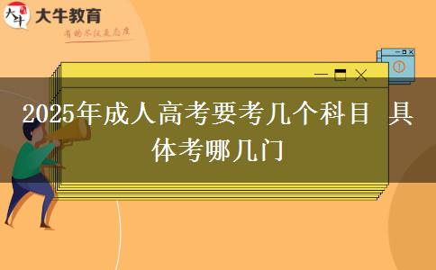 2025年成人高考要考幾個(gè)科目 具體考哪幾門