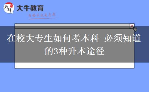 在校大專生如何考本科 必須知道的3種升本途徑