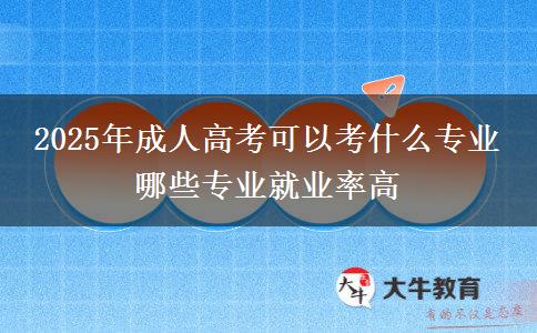 2025年成人高考可以考什么專業(yè) 哪些專業(yè)就業(yè)率高