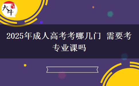 2025年成人高考考哪幾門 需要考專業(yè)課嗎