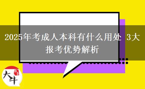 2025年考成人本科有什么用處 3大報(bào)考優(yōu)勢解析