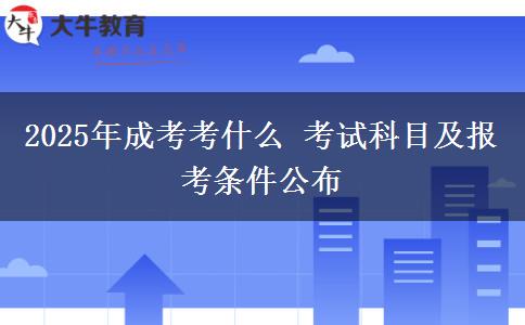 2025年成考考什么 考試科目及報考條件公布